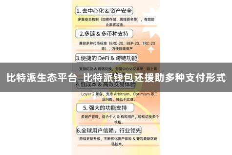 比特派生态平台 比特派钱包还援助多种支付形式