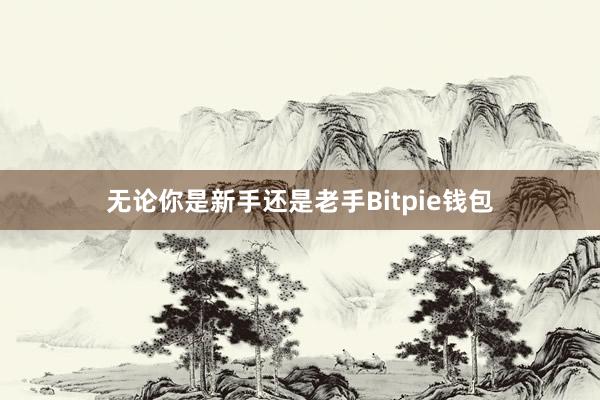 无论你是新手还是老手Bitpie钱包