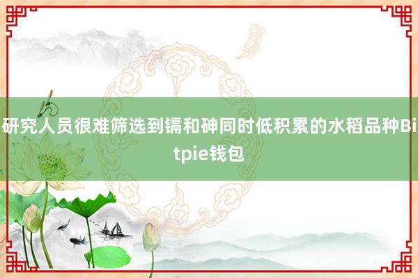 研究人员很难筛选到镉和砷同时低积累的水稻品种Bitpie钱包