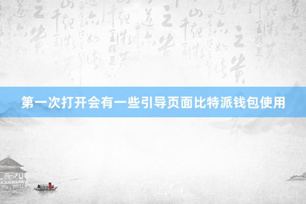 第一次打开会有一些引导页面比特派钱包使用