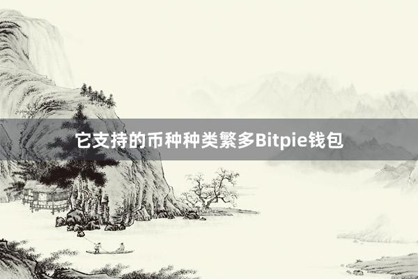 它支持的币种种类繁多Bitpie钱包