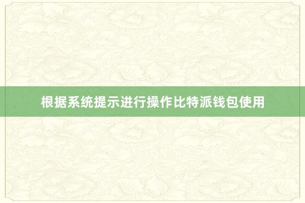 根据系统提示进行操作比特派钱包使用