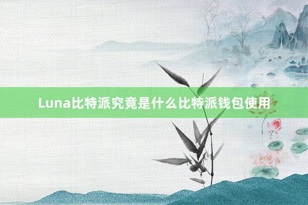 Luna比特派究竟是什么比特派钱包使用