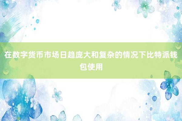 在数字货币市场日趋庞大和复杂的情况下比特派钱包使用