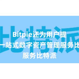 Bitpie还为用户提供了一站式数字资产管理服务比特派