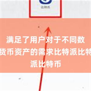 满足了用户对于不同数字货币资产的需求比特派比特币